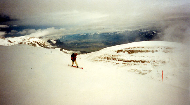 WildA12.jpg