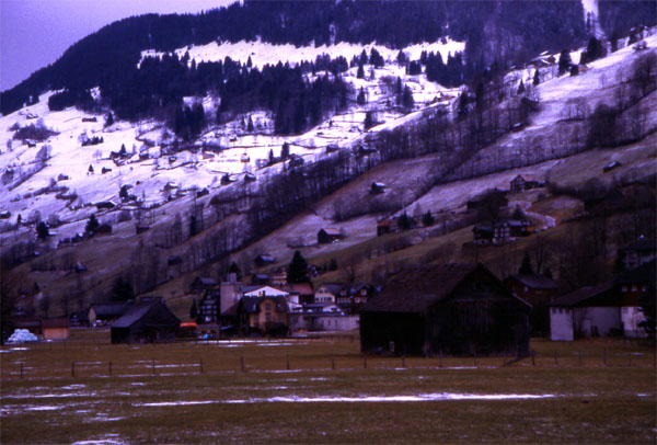 Unterwasser 
<br>
Photo: Robert Downie - February 2002 (EOS 300) 