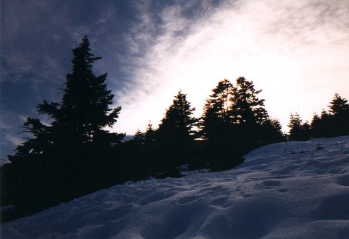 Snow cover - Uluda?
<br>
Photo: Robert Downie - January 2001 (EOS 300)