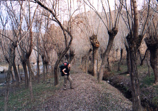Jane walking along the Ilhara Valley 
<br>
Photo: Robert Downie - January 2001 (EOS 300)