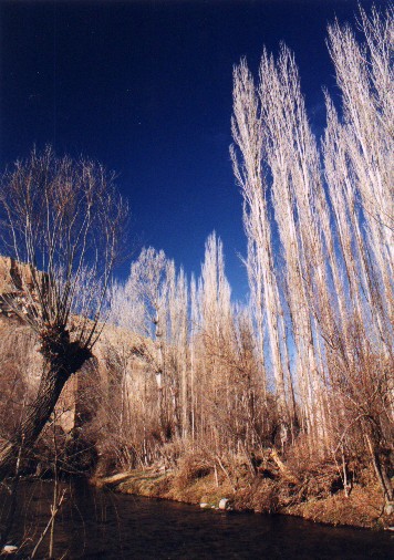 The Melendiz Suyu stream - Ilhara Canyon
<br>
Photo: Robert Downie - January 2001 (EOS 300)