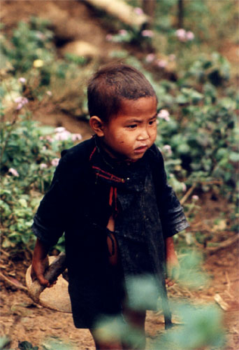Small boy working the fields outside of Sapa 
<br>
Photo: Robert Downie - December 1998 (EOS IX) 