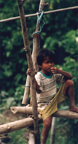 Small boy on a bamboo bridge - Mekong Delta
<br>
Photo: Robert Downie - December 1998 (EOS IX) 