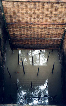 Old Viet Cong Trap - Cu Chi Tunnels
<br>
Photo: Robert Downie - December 1998 (EOS IX) 